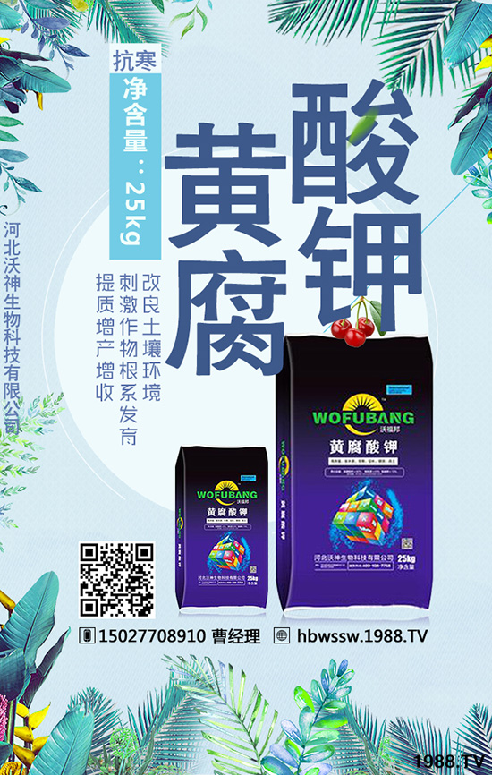 Чı|(zh)چ᣿cMa(chn)