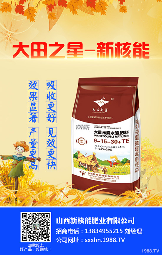 2020年早春辣椒什么時候種植?育苗技術及苗期管理要點!