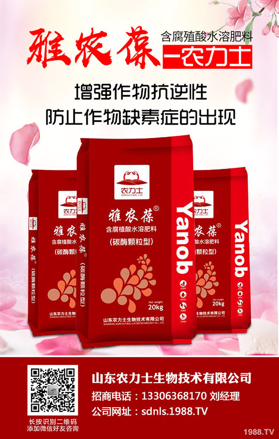 2019-12-9一銨市場(chǎng)交投持續(xù)低迷,價(jià)格弱勢(shì)維穩(wěn)!