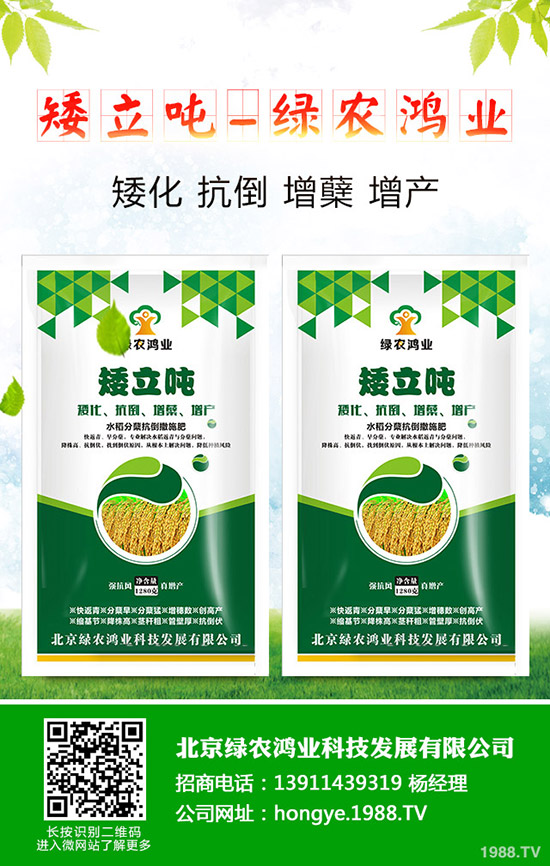 山區(qū)種植什么藥材比較適合?推薦20個適合山區(qū)種植中藥材品種!