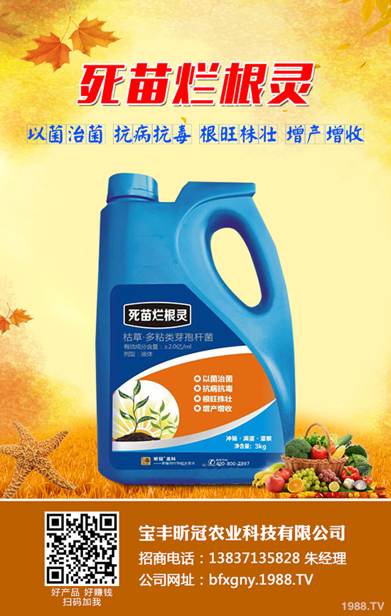 寶豐昕冠農業(yè)科技有限公司-(2)