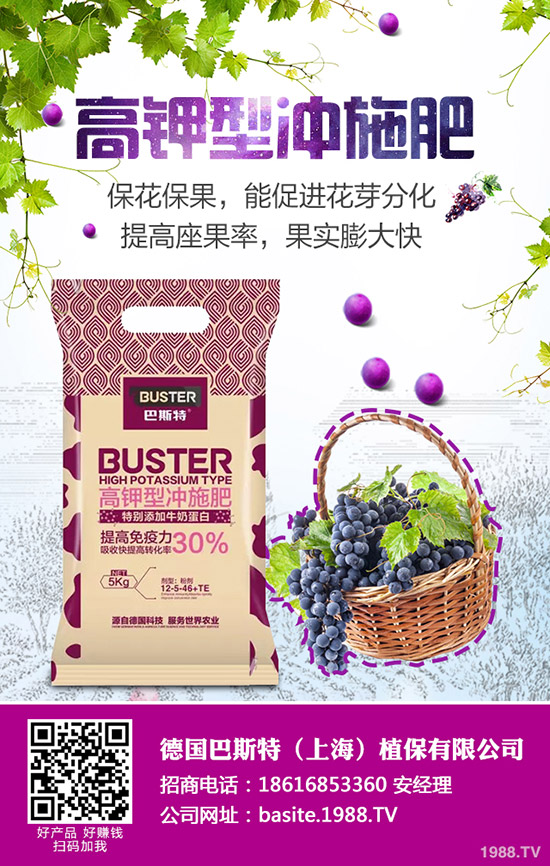 尿素熬過八月喜迎九月!2019年8月末尿素價格行情走勢分析