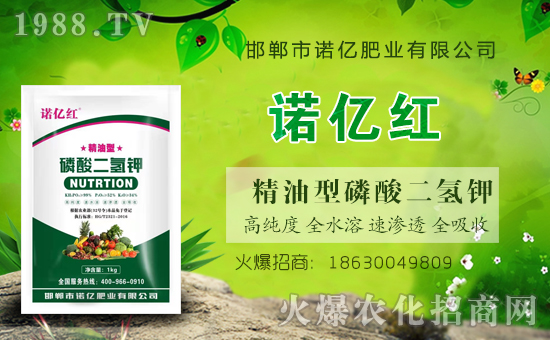 火爆農化網(wǎng)喜迎新盟友,攜手利諾億肥業(yè)共走財富之路