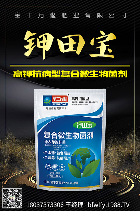 大蒜如何管理才能高產(chǎn),大蒜高產(chǎn)管理技術!