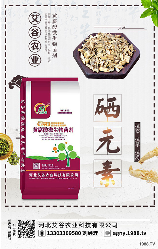 花椰菜常見(jiàn)病害有哪些?花椰菜11大病害病癥識(shí)別及防治措施!