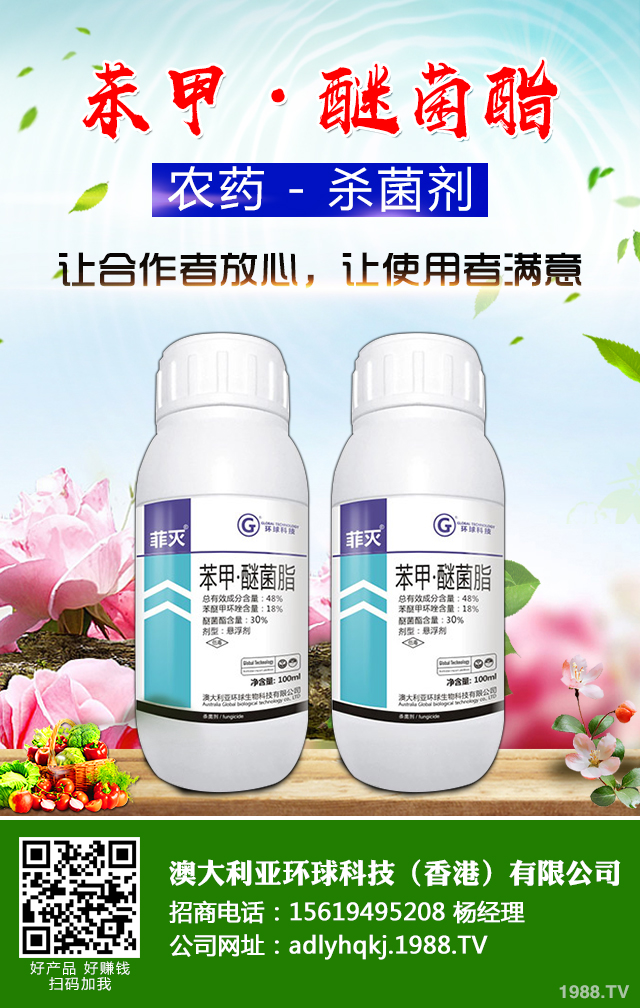 荔枝爛果怎么辦?荔枝爛果四點防治技巧