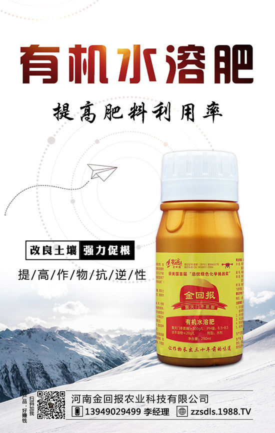 芒果什么時(shí)候種植?芒果的高產(chǎn)種植方法!
