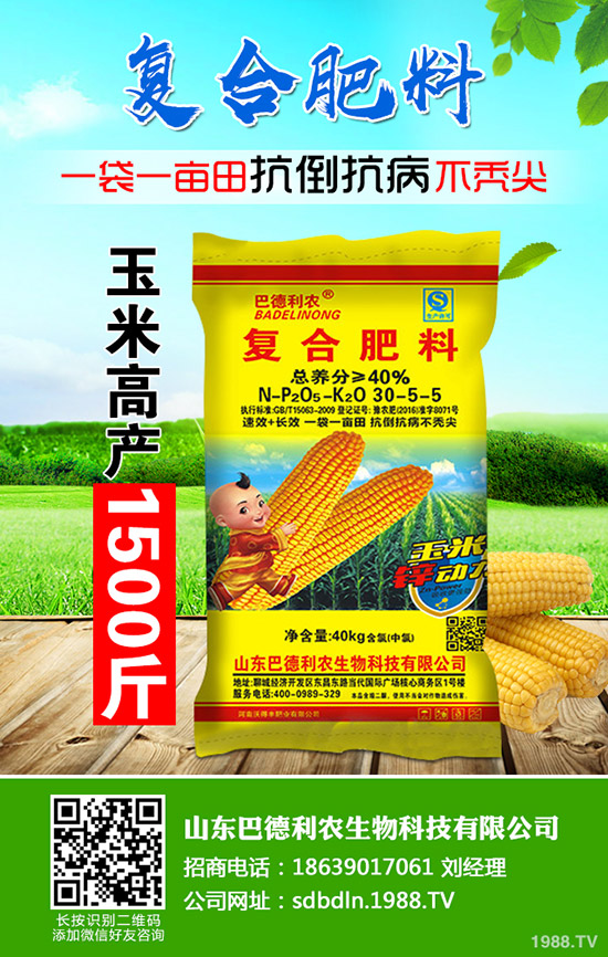 陽臺盆栽芹菜如何種植?盆栽芹菜的種植方法和管理要點!