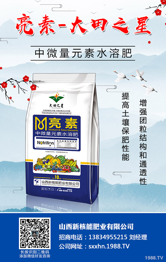 秋季蔬菜如何育苗?秋季常用的育苗的小方法及技術!