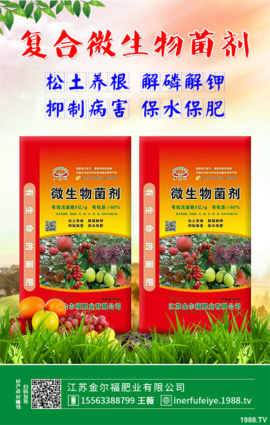 豌豆什么時(shí)候種植?該怎么種?豌豆種植時(shí)間及種植技術(shù)要點(diǎn)