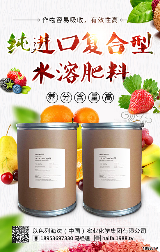 甘藍(lán)菜怎么種植,教你正確種植甘藍(lán)的辦法!