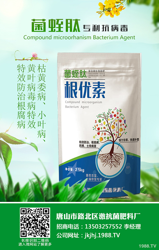 甘蔗怎么種好吃,甘蔗的種植技術(shù)有哪些?