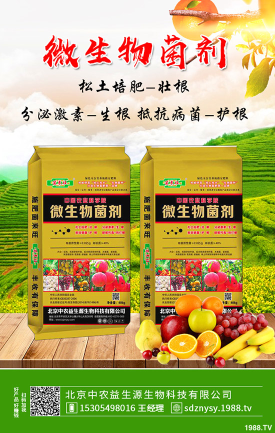 大棚芹菜常見病害及蟲害有哪些?防治措施及藥劑使用推薦!