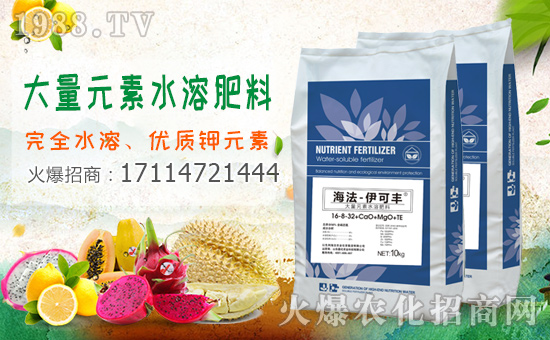1988.TVϲӭɫкr(nng)I(y)(qing)(sh)(li)u(sh)F(xin)I(y)°l(f)չ