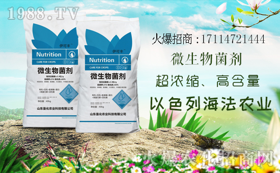 1988.TVϲӭɫкr(nng)I(y)(qing)(sh)(li)u(sh)F(xin)I(y)°l(f)չ