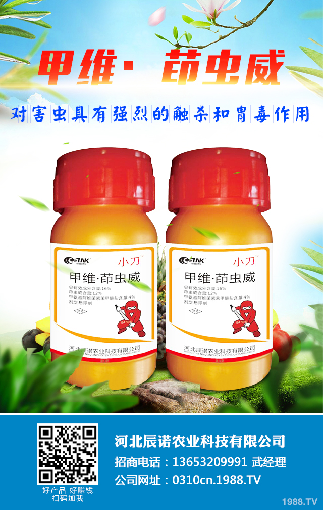 高粱長(zhǎng)蝽怎么治?高粱長(zhǎng)蝽防治技巧