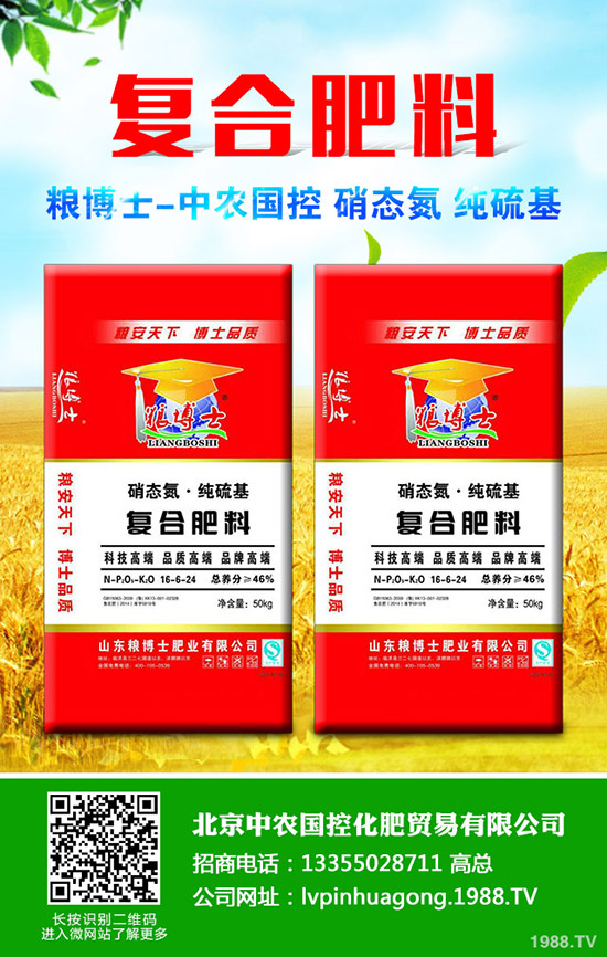 冬瓜的作用與功效,冬瓜的用藥價值!