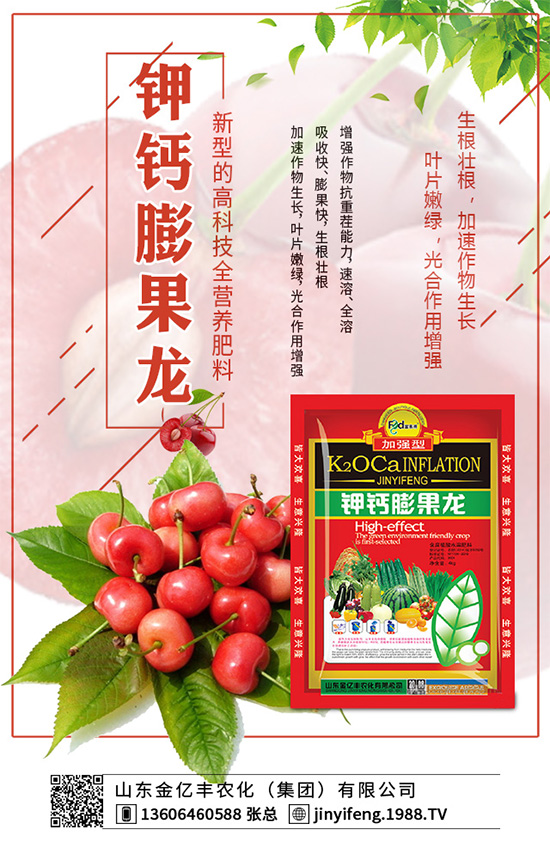 萵苣種植在我國有春茬與秋茬之分,分別使用不同的品種。秋茬品種在較高的溫度條件下,也能形成蓮座葉,然后長出粗大的莖。那么,萵苣的品種有哪些?怎么種植才好呢?
