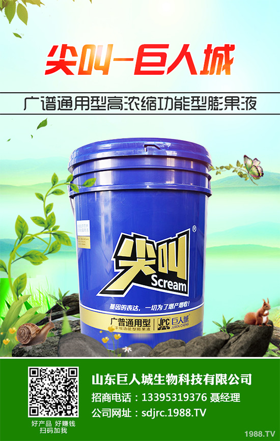 萵苣種植在我國有春茬與秋茬之分,分別使用不同的品種。秋茬品種在較高的溫度條件下,也能形成蓮座葉,然后長出粗大的莖。那么,萵苣的品種有哪些?怎么種植才好呢?
