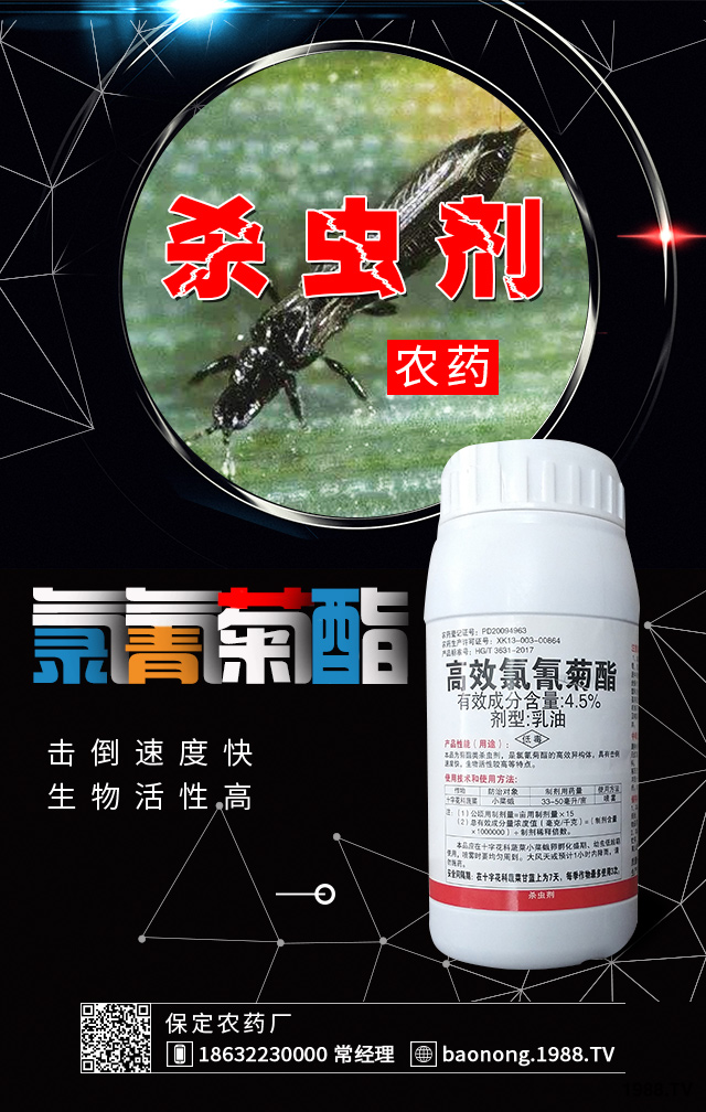 冬棚黃瓜薊馬防治要點有哪些?黃瓜薊馬防治技巧