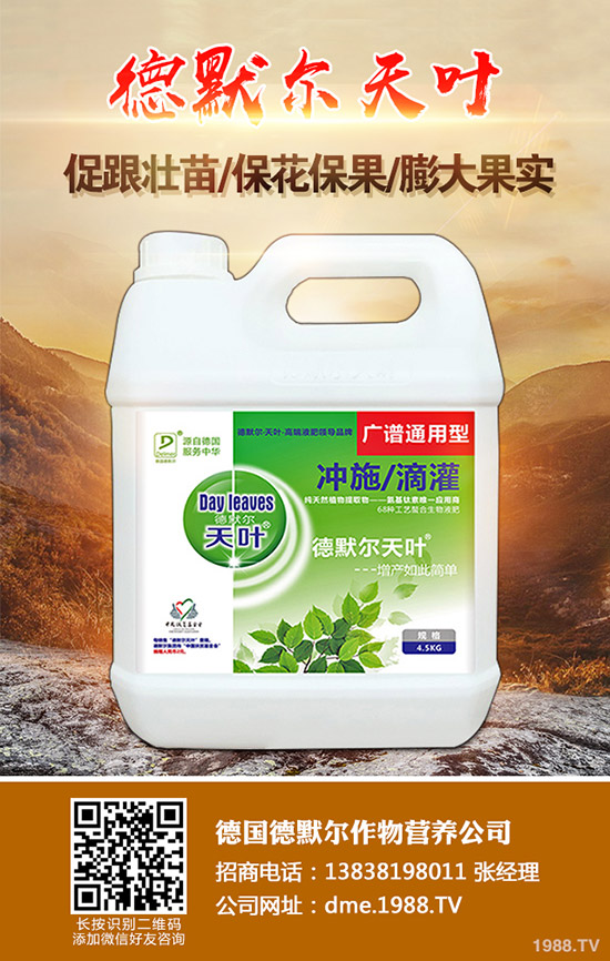 松茸的營養(yǎng)價值有哪些,松茸的功效與作用,食用禁忌!