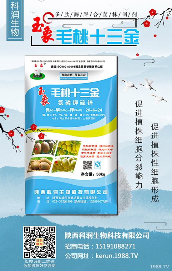 大蔥秋季什么時(shí)間種植合適?大蔥秋季種植時(shí)間及種植技術(shù)!