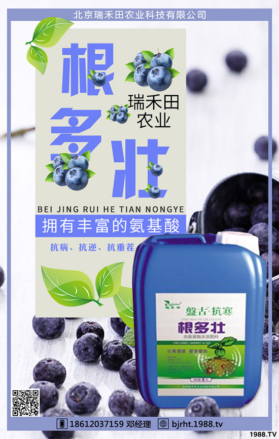 西紅柿什么時間種植,西紅柿種植技巧