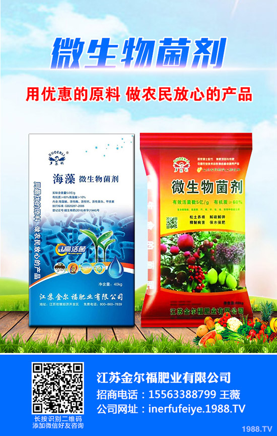 秋季蘿卜什么時(shí)候種植合適?秋季蘿卜種植時(shí)間及種植技術(shù)!