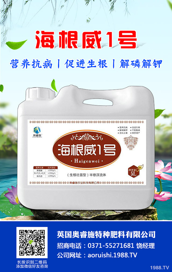 如何種植羊角蜜才能高產(chǎn)?羊角蜜種植時間和種植方法