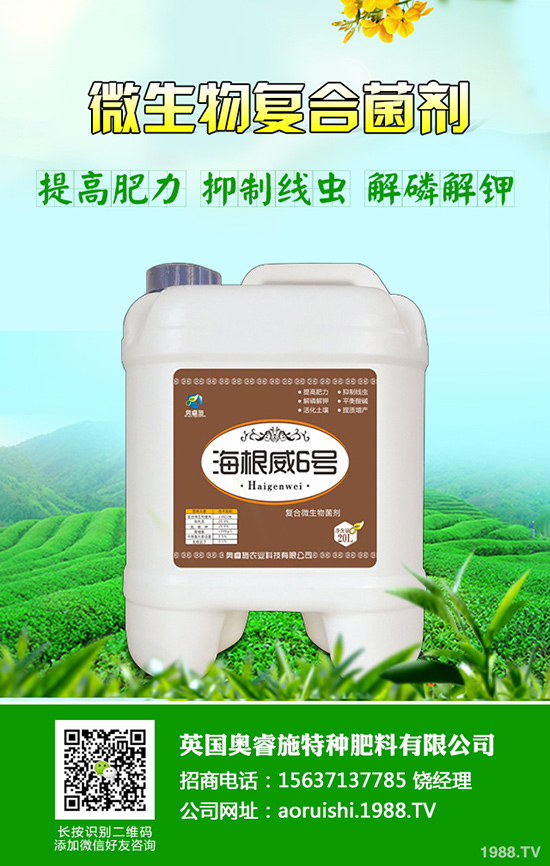 柚子種植技術!柚子栽種要注意些什么?