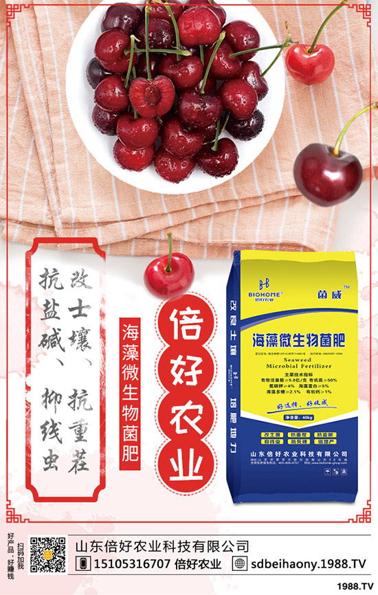 尿素行情走勢(shì)一般!2020年1月中旬尿素行價(jià)格后市預(yù)測(cè)!