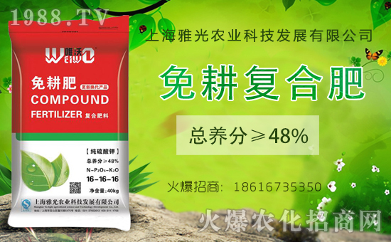 【上海雅光】祝大家新年快樂,財(cái)源滾滾,吉祥高照,鴻運(yùn)當(dāng)頭!