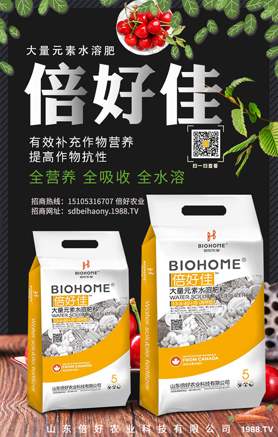 冬小麥?zhǔn)裁磿r候澆水好?小麥灌溉時間!澆越冬水的好處!