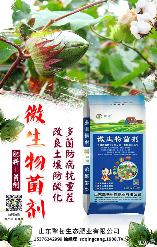 春節(jié)來臨!2020年1月尿素能否挺價(jià)?尿素行情走勢(shì)預(yù)測(cè)!