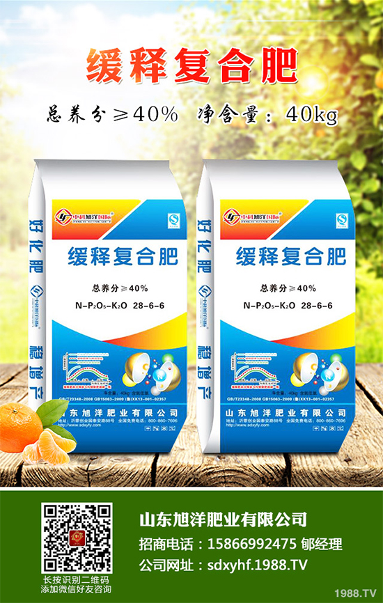 芹菜軟腐病來襲,到底該如何防治?芹菜軟腐病的危害與防治
