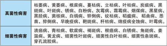 【綠源農化】祝您新年快樂!萬事如意!事業(yè)有成!芝麻開花節(jié)節(jié)高!