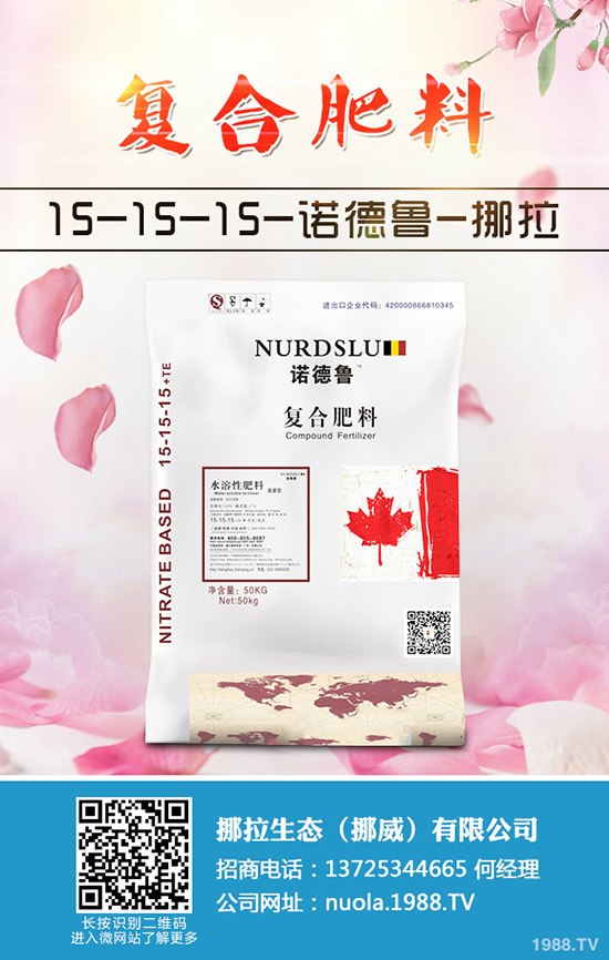 2020大櫻桃種植前景如何?大櫻桃品種選擇及栽培技術!