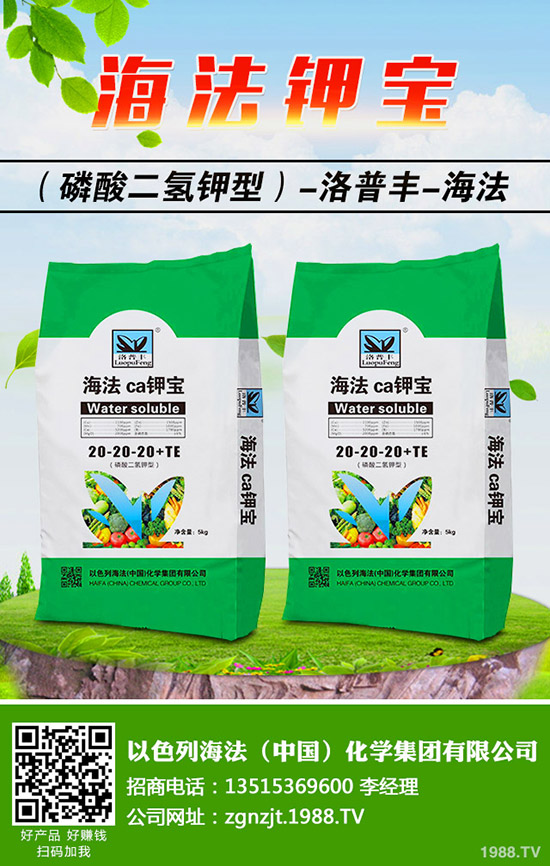 怎樣做好冬季梨樹(shù)修剪,梨樹(shù)冬季修剪的時(shí)間及方法!