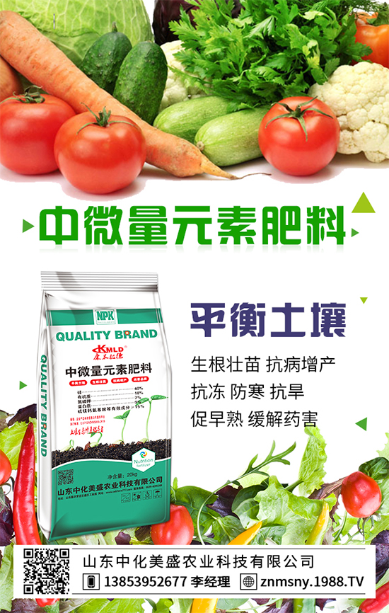 扁豆的營養(yǎng)成分,扁豆的食用禁忌!