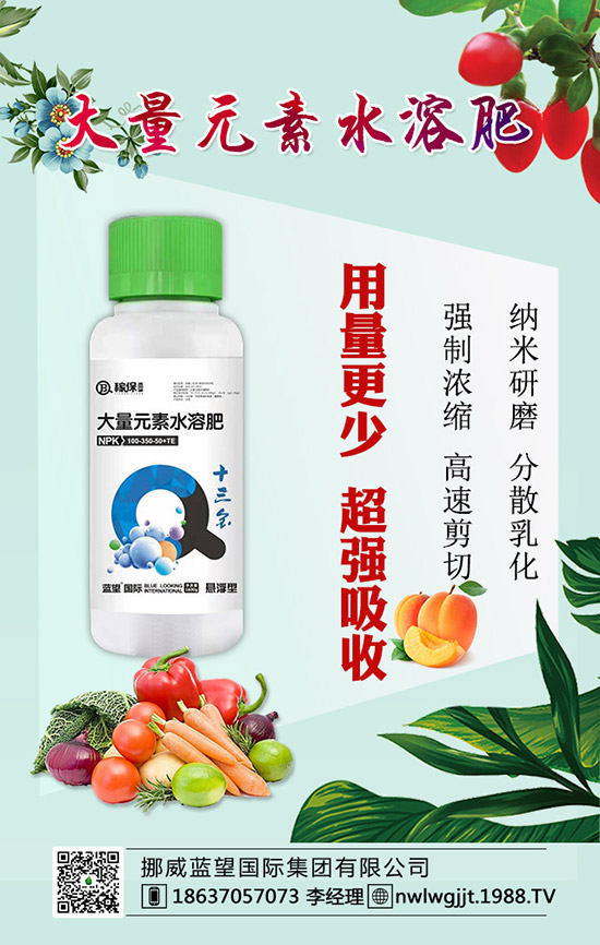 【藍(lán)望國際】祝稼寶傳奇的家人們?cè)谛碌囊荒昀镪H家幸福,萬事如意!