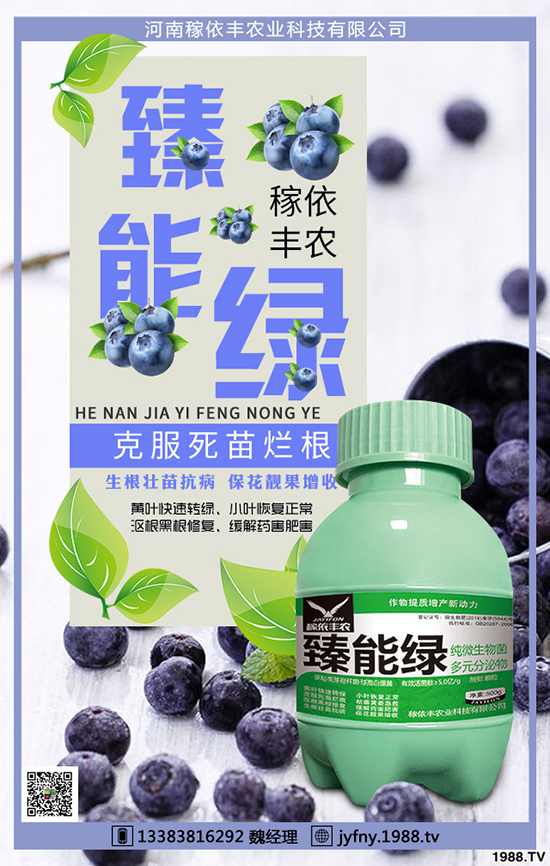 冬季大棚蔬菜如何應(yīng)對天氣變化,冬季大棚蔬菜管理要點(diǎn)!