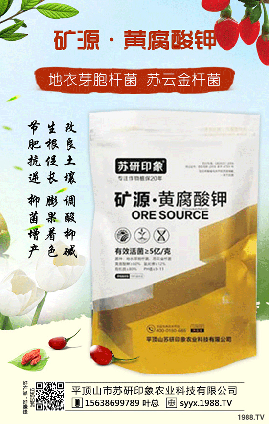 【平頂山市蘇研印象】祝大家在新的一年里身體健康!心想事成!萬(wàn)事如意!