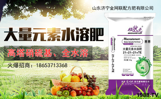 【金網聯配方肥】祝大家在新的一年里事業(yè)有成,步步高升!