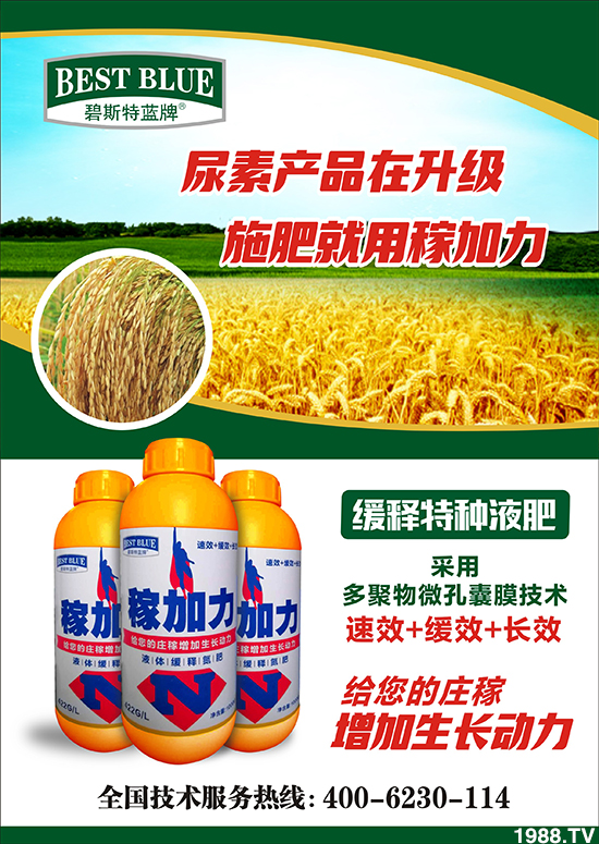 【碧斯特生物】祝您百福臨門常有余,祥云瑞氣聚新春!2020新春快樂(lè)!