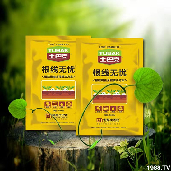 【僑基生物】祝全國(guó)朋友身體健康,萬(wàn)事如意!