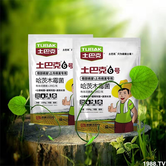 【僑基生物】祝全國(guó)朋友身體健康,萬(wàn)事如意!