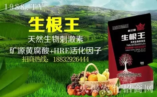 小麥漲價(jià)!個(gè)別報(bào)價(jià)超過2500元/噸!