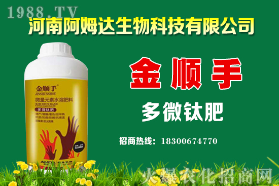 空心菜種植要點(diǎn)有哪些?空心菜又該怎么留種?