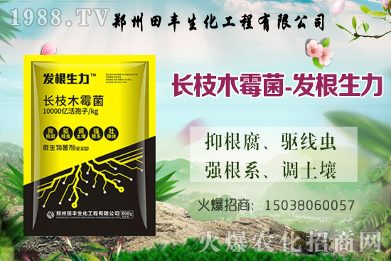 Сqr(ji)ˣСr(ji)(wn)ƫ(qing)ֵ؅^(q)^m(x)ϝq