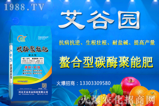 大豆價(jià)格抬頭還會(huì)繼續(xù)漲嗎?2020年秋季大豆價(jià)格預(yù)測(cè)